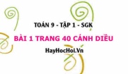 Bài 1 trang 40 Toán 9 tập 1 Cánh Diều